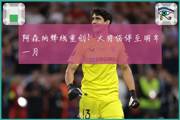 阿森纳锋线重创！大将伤停至明年一月